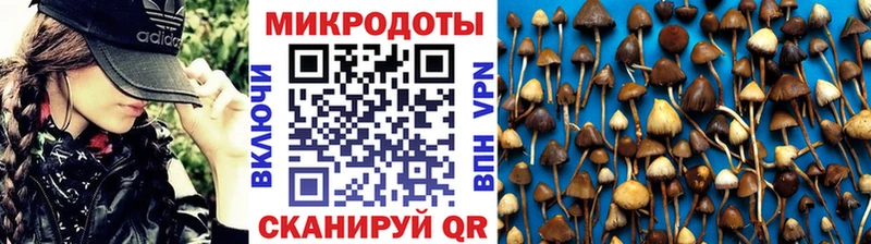 маркетплейс Telegram  Иноземцево  Галлюциногенные грибы GOLDEN TEACHER  купить  